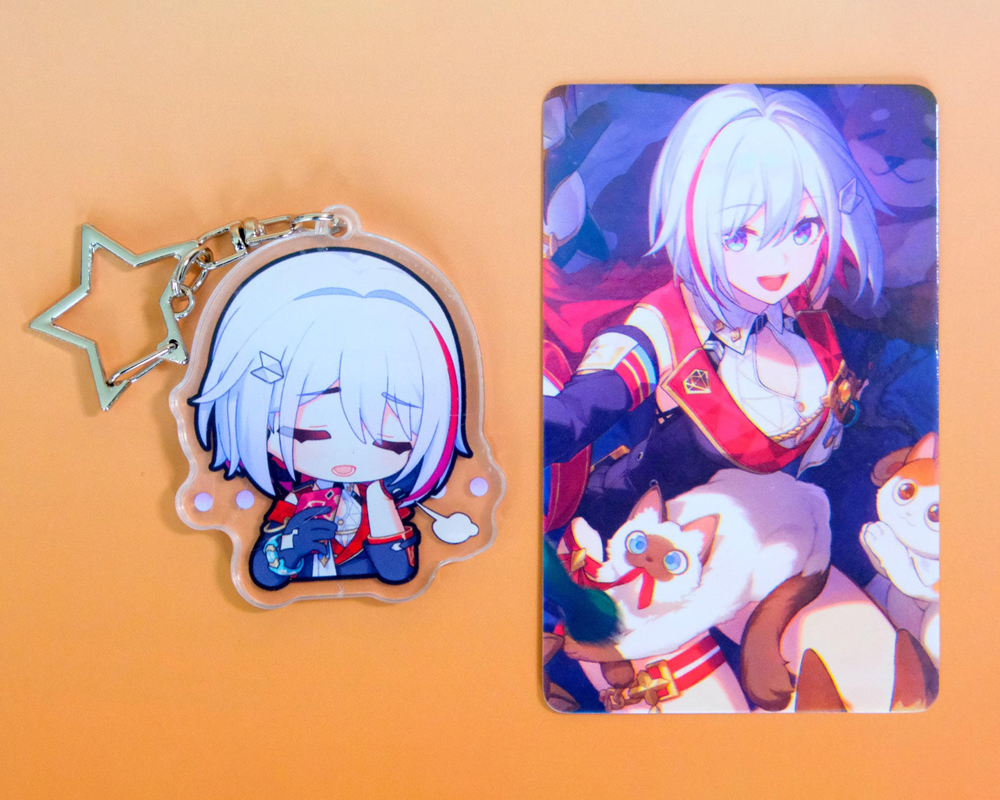 Honkai: Star Rail Exclusive Character Portrait Keychains - Perfect Gift for HSR Fans - Ultra High Quality